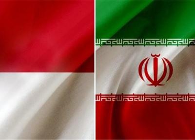 ورود هتلداران اندونزی به تهران برای جذب گردشگران ایرانی