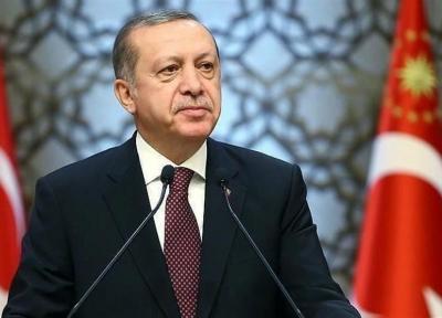 اردوغان: به درخواست مردم سوریه به این کشور رفتیم