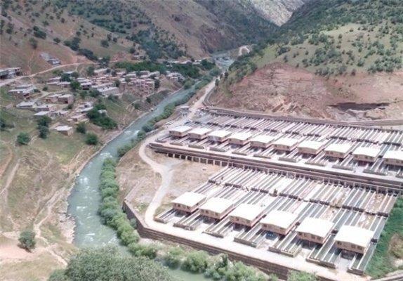 بهره برداری از فاز دوم مجتمع پرورش ماهی قزل آلای دیوزناو بهره برداری از فاز دوم مجتمع پرورش ماهی قزل آلای دیوزناو ، فراوری سالانه هزار و 500 تن ماهی
