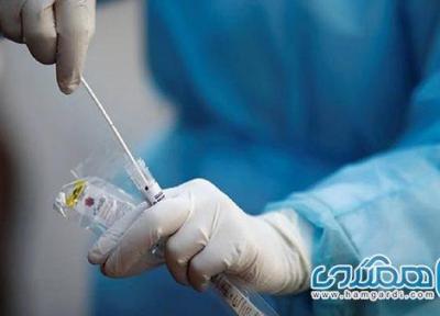 تست های پی سی آر کرونای دلتا را تشخیص نمی دهند