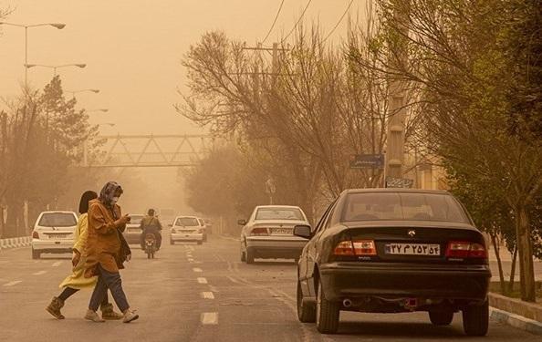 سقوط 80 اصله درخت در تهران، سرعت طوفان در 8 سال اخیر بی سابقه بود