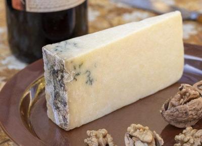 روش درست نگهداری پنیر برای ماندگاری بیشتر ، پنیر کپک زده را می توان خورد؟ ، انواع کپک پنیر را بشناسید ؛ راه تشخیص کپک خوردنی